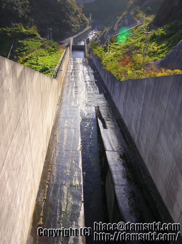 ʿ17ǯ1129  1541ʬ
